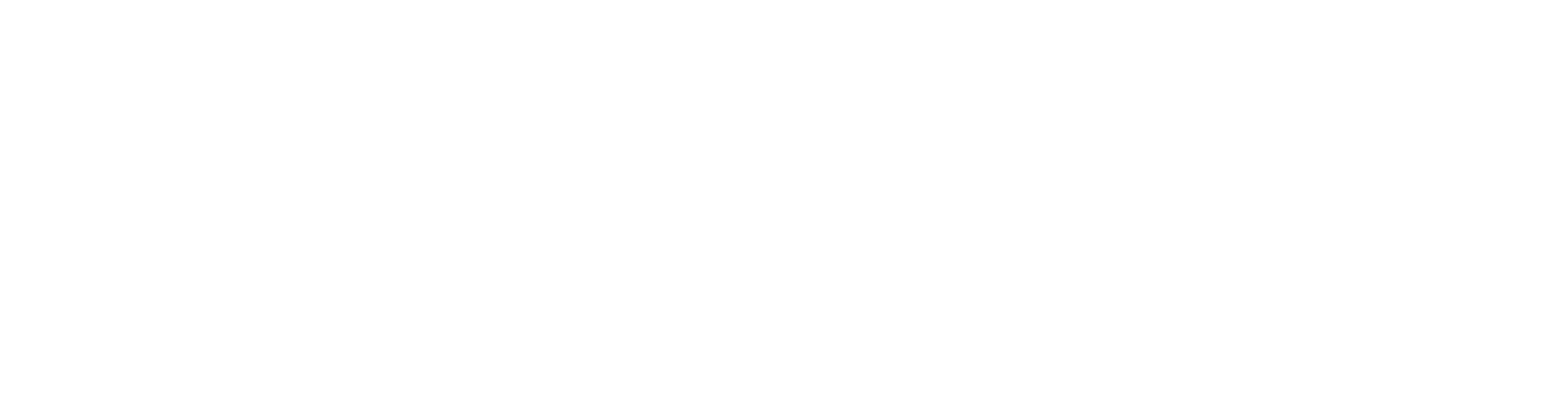 Hannah Arendt Network